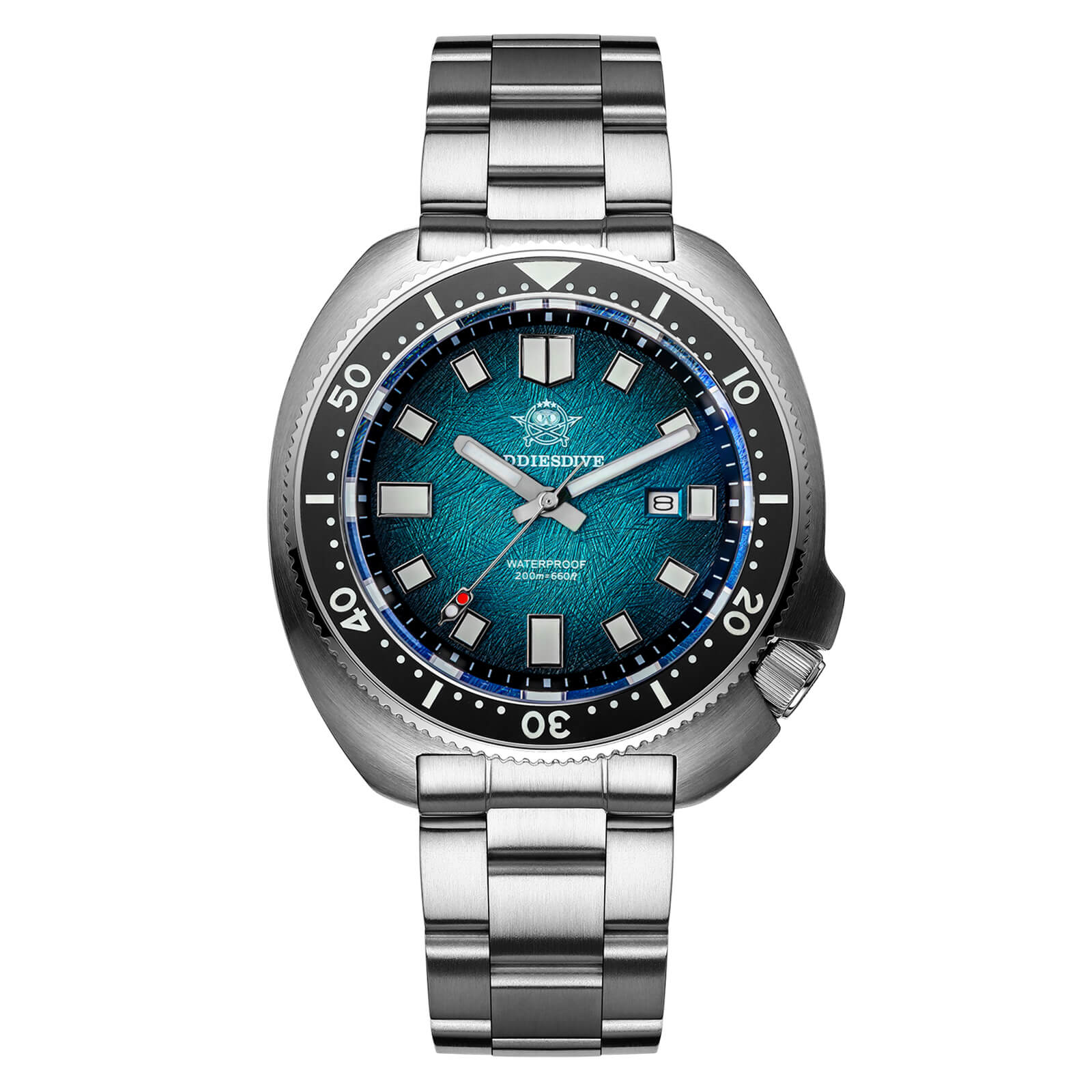 Turtle Diver Collection